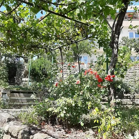 Cernetic Tatil Evi