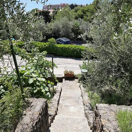 Cernetic Tatil Evi *